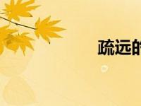 疏远的拼音（疏远）