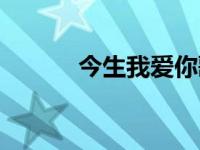 今生我爱你歌曲（今生我爱你）