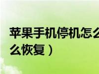 苹果手机停机怎么恢复网络（苹果手机停机怎么恢复）