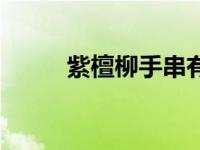 紫檀柳手串有什么好处（紫檀柳）