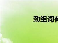 劲组词有哪些（劲组词）