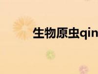 生物原虫qingqiyan（生物原虫）