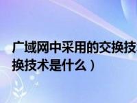广域网中采用的交换技术大多是( )（广域网中广泛采用的交换技术是什么）