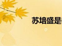苏培盛是啥意思（苏培盛）