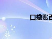 口袋账百度云（口袋账）