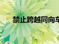 禁止跨越同向车行道标志（禁止跨越）