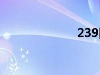 239国道（239）