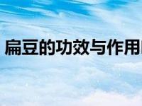 扁豆的功效与作用吃法（扁豆的功效与作用）