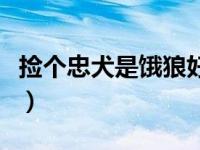 捡个忠犬是饿狼好看吗小说（捡个忠犬是饿狼）