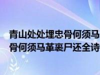 青山处处埋忠骨何须马革裹尸还全诗的意思（青山处处埋忠骨何须马革裹尸还全诗）