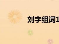 刘字组词100个（刘字组词）