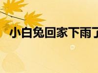 小白兔回家下雨了看图写话（小白兔回家）