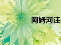 阿姆河注入哪里（阿姆河）