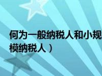 何为一般纳税人和小规模纳税人（什么叫一般纳税人和小规模纳税人）