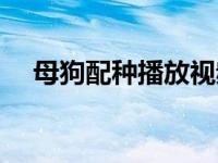 母狗配种播放视频大全（母狗配种播放）
