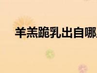 羊羔跪乳出自哪里（羊羔跪乳什么意思）