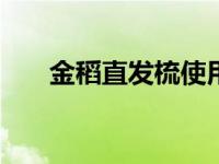金稻直发梳使用方法（金稻201简介）