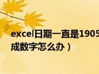 excel日期一直是1905（excel表格共享一段时间后日期变成数字怎么办）