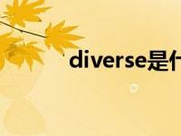 diverse是什么意思（diverse）
