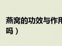 燕窝的功效与作用及营养（燕窝是燕子的口水吗）