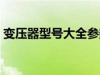 变压器型号大全参数表格（变压器型号大全）