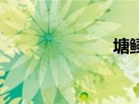 塘鲺鱼（塘鲺）