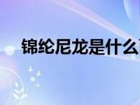 锦纶尼龙是什么面料（尼龙是什么面料）