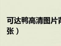可达鸭高清图片背景图（可达鸭图片萌图100张）