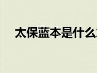 太保蓝本是什么意思（蓝本是什么意思）