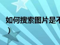 如何搜索图片是不是情侣头像（如何搜索图片）