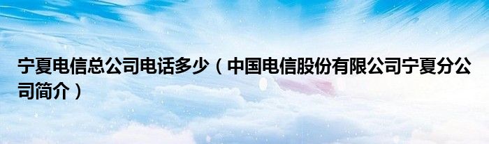 宁夏电信总公司电话多少（中国电信股份有限公司宁夏分公司简介）