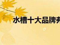 水槽十大品牌弗兰卡（水槽十大品牌）
