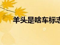 羊头是啥车标志（羊头标志是什么车）