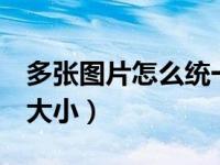 多张图片怎么统一尺寸（word调整所有图片大小）