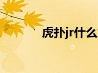 虎扑jr什么意思（jr什么意思）