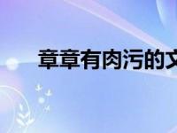 章章有肉污的文（章章有肉的bl小说）