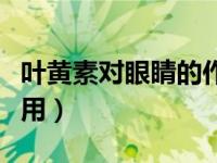 叶黄素对眼睛的作用大吗（叶黄素对眼睛的作用）