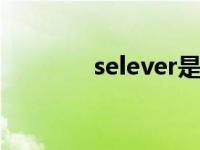 selever是谁（severe简介）