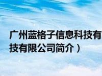 广州蓝格子信息科技有限公司简介图片（广州蓝格子信息科技有限公司简介）