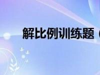 解比例训练题（解比例练习题100道）