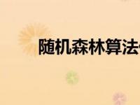 随机森林算法代码（随机森林算法）