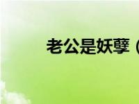老公是妖孽（妖孽老公的小宝贝）