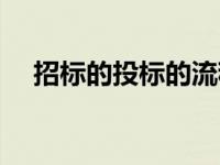 招标的投标的流程（招标投标具体流程）