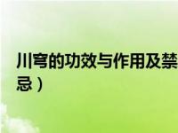 川穹的功效与作用及禁忌症是什么（川穹的功效与作用及禁忌）