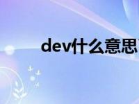 dev什么意思币圈（dev什么意思）