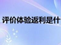 评价体验返利是什么意思（返利是什么意思）