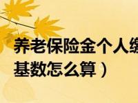 养老保险金个人缴费基数（养老保险个人缴费基数怎么算）
