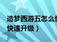 造梦西游五怎么快速刷材料（造梦西游5怎么快速升级）