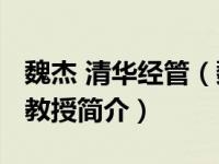 魏杰 清华经管（魏杰-清华大学经济管理学院教授简介）