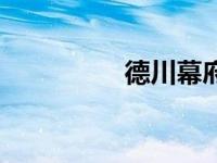 德川幕府罚（德川幕府）